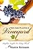 Why God Planted a Vineyard:...