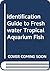 Identification guide to freshwater tropical aquarium fish by Michael Stringer