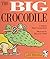The Big Crocodile: A Song (Little Celebrations)