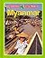 Myanmar (Countries of the World)