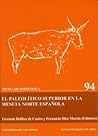 PALEOLITICO SUPERIOR EN LA MESETA NORTE ESPAÑOLA, EL