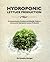 Hydroponic Lettuce Production