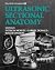 Ultrasonic Sectional Anatomy
