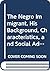 The Negro Immigrant, His Background, Characteristics, and Social Adjustment, 1899-1937. (Columbia University Studies in the Social Sciences, 449)