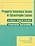 Property Insurance Issues i...