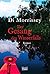 Der Gesang des Wasserfalls by Di Morrissey