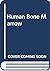 Human bone marrow