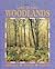 Life in the Woodlands (World Book Ecology Series)