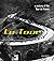 Le Tour: A Century of the T...