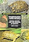 Tortoises (Basic Domestic Reptile & Amphibian Library)