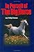 In Pursuit of The Big Horse