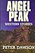 Angel Peak: Western Stories (G K Hall Large Print Book Series)