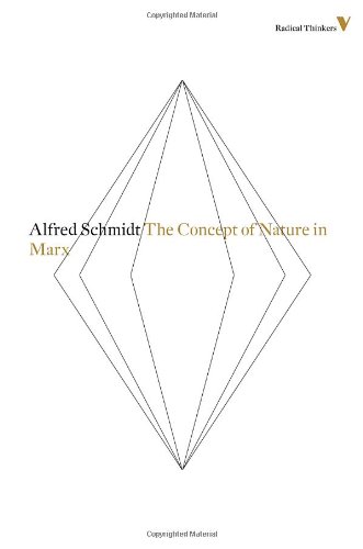 The Concept of Nature in Marx (Hardcover)