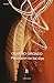 Persuación De Los Días by Oliverio Girondo