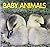 Baby Animals