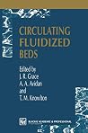 Circulating Fluidized Beds Circulating Fluidized Beds