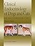 Clinical Endocrinology of Dogs and Cats: An Illustrated Text