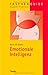 Emotionale Intelligenz