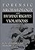 Forensic Archaeology and Human Rights Violations