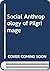 Social Anthropology of Pilgrimage by Makhan Jha
