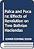 Palca and Pucara: A study o...