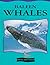 Baleen Whales (Read All About Whales)