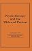 Psychotherapy and the Widowed Patient (Psychotherapy Patient Series)
