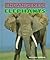 Elephants (Endangered)