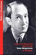 Idyll im Exil: Zweiter Roman der Trilogie Funken im Abgrund (Werke in Einzelbänden / Soma Morgenstern)