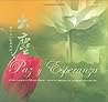 Paz y Esperanza (Spanish Edition)