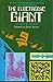 The electronic giant by Stewart M. Hoover