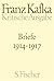 Briefe 1914 - 1917: Kritische Ausgabe