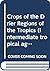 Crops of the Drier Regions of the Tropics by David P. Gibbon