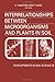 Developments in Soil Science, Volume 18: Interrelationships Between Microorganisms and Plants in Soil: Proceedings of an International Symposium, Liblice, Czechoslovakia, June 22-27, 1987