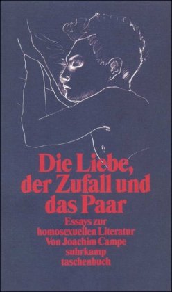 Die Liebe, der Zufall und das Paar: Essays zur homosexuellen Literatur (Suhrkamp Taschenbuch) (German Edition)
