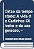 Orfão da tempestade: A vida de Carlinhos Oliveira e da sua geração, entre o terror e o êxtase (Portuguese Edition)