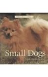 Small Dogs (Perfect Pets)