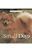Small Dogs (Perfect Pets)