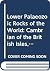 Cambrian of the British Isles, Norden and Spitzbergen (Lower Palaeozoic Rocks of the World Volume 2)
