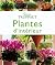Plantes D'intérieur