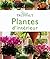 Plantes D'intérieur