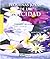 Pequenas Joyas De La Felicidad/ Little Happiness Jewels (Minilibros) (Spanish Edition)