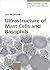 Ultrastructure of Mast Cells And Basophils (Chemical Immunology And Allergy)