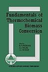 Fundamentals of Thermochemical Biomass Conversion