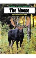 The Moose (Wildlife of North America)