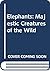 Elephants: Majestic Creatures of the Wild
