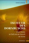 Im Feuer des Dornbuschs. Unser Glaube an Gott und die Zukunft der Kirche.