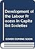 Development of the Labour P...