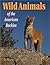 Wild Animals of the America...