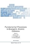 Fundamental Processes in Energetic Atomic Collisions (NATO Advanced Study Institute Series: Series B: Physics)
